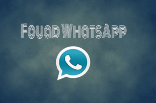 9.05 apk whatsapp fouad Fouad WhatsApp